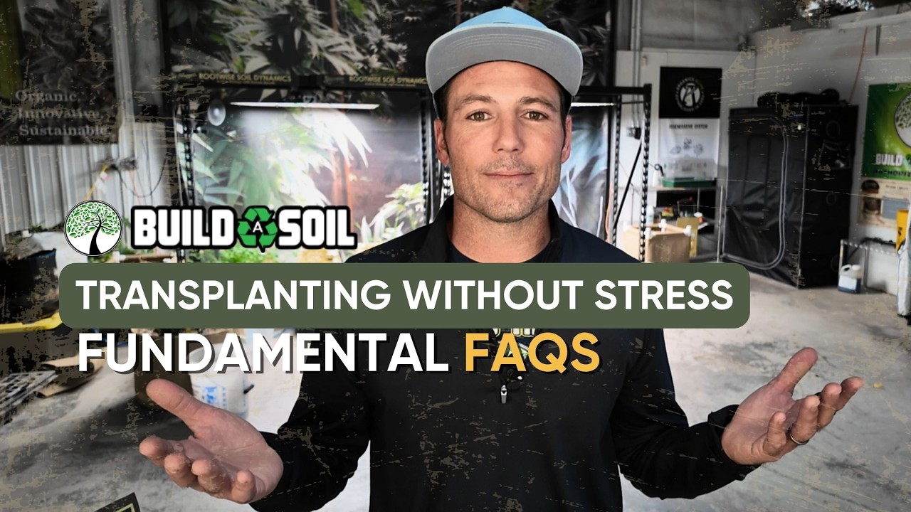 BuildASoil: Transplanting Without Stress | Fundamental FAQs