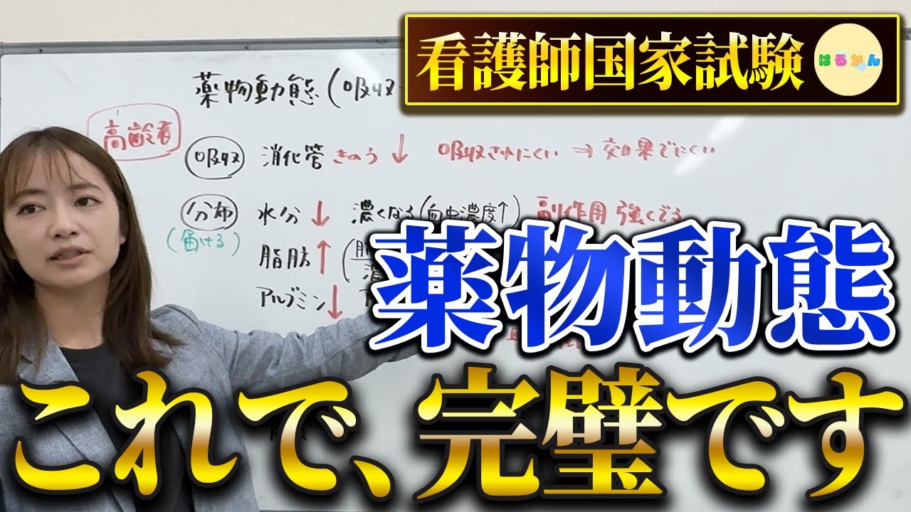 高齢者の薬物動態って何？この動画で全部解決します！【看護師国家試験】