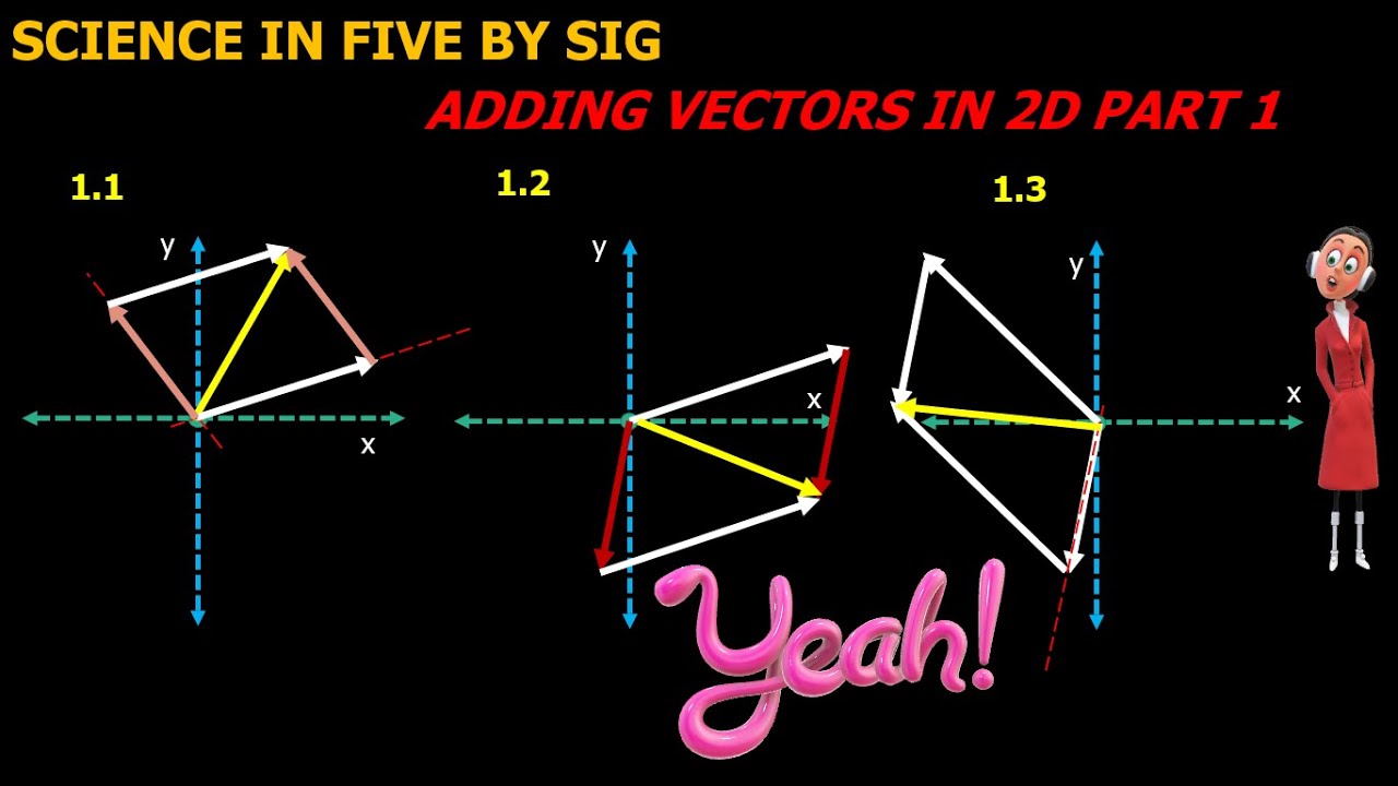 Grade 11 Physical Sciences Vectors in 2 D part 1 : Science in Five by Sig