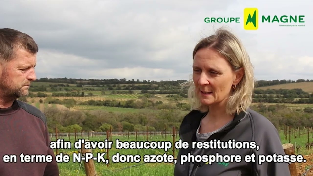 Les couverts végétaux de la vigne avec MAGNE