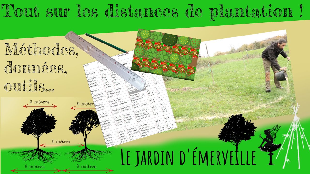 Tout sur les distances de plantation !  Méthodes, données, outils...