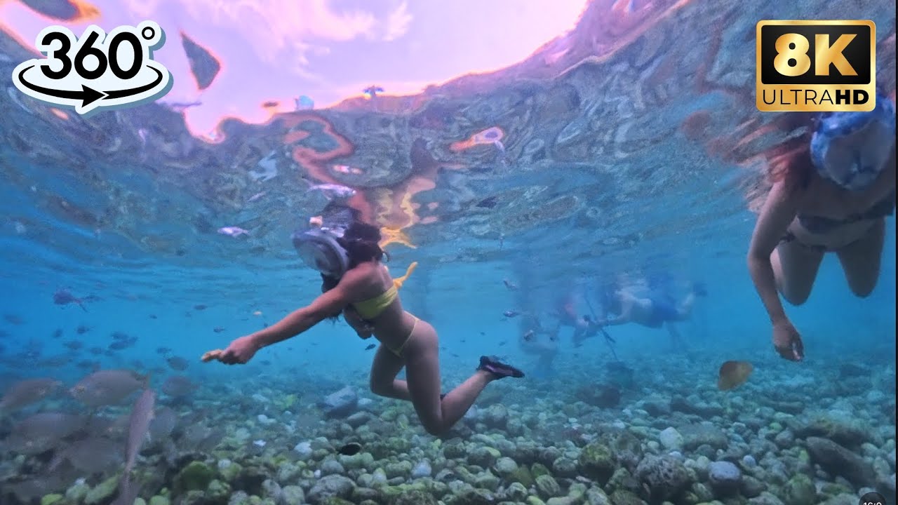 Must See!  ASMR Underwater  Snorkeling in Atlantic Ocean 2025 | 4K 🌊🤿🐠