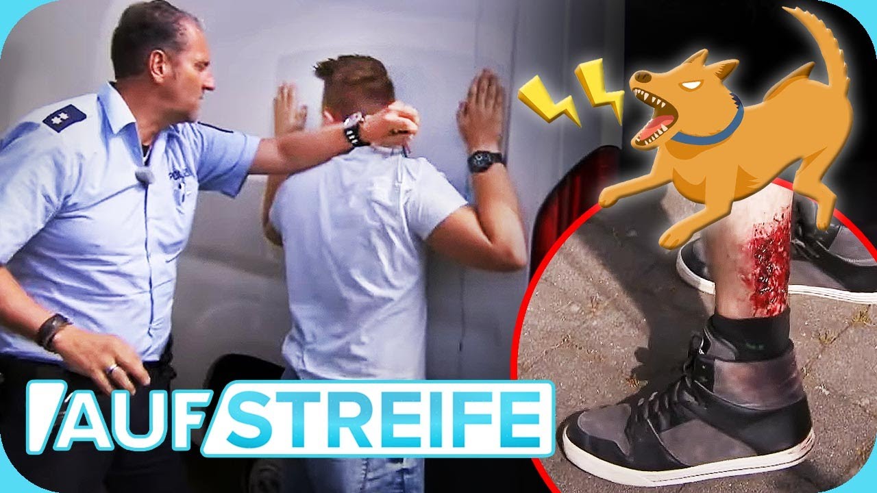 Hilfe, HUND dreht durch 😬 Aber wieso ist das Tier so AGGRESSIV geworden? | Auf Streife | SAT.1