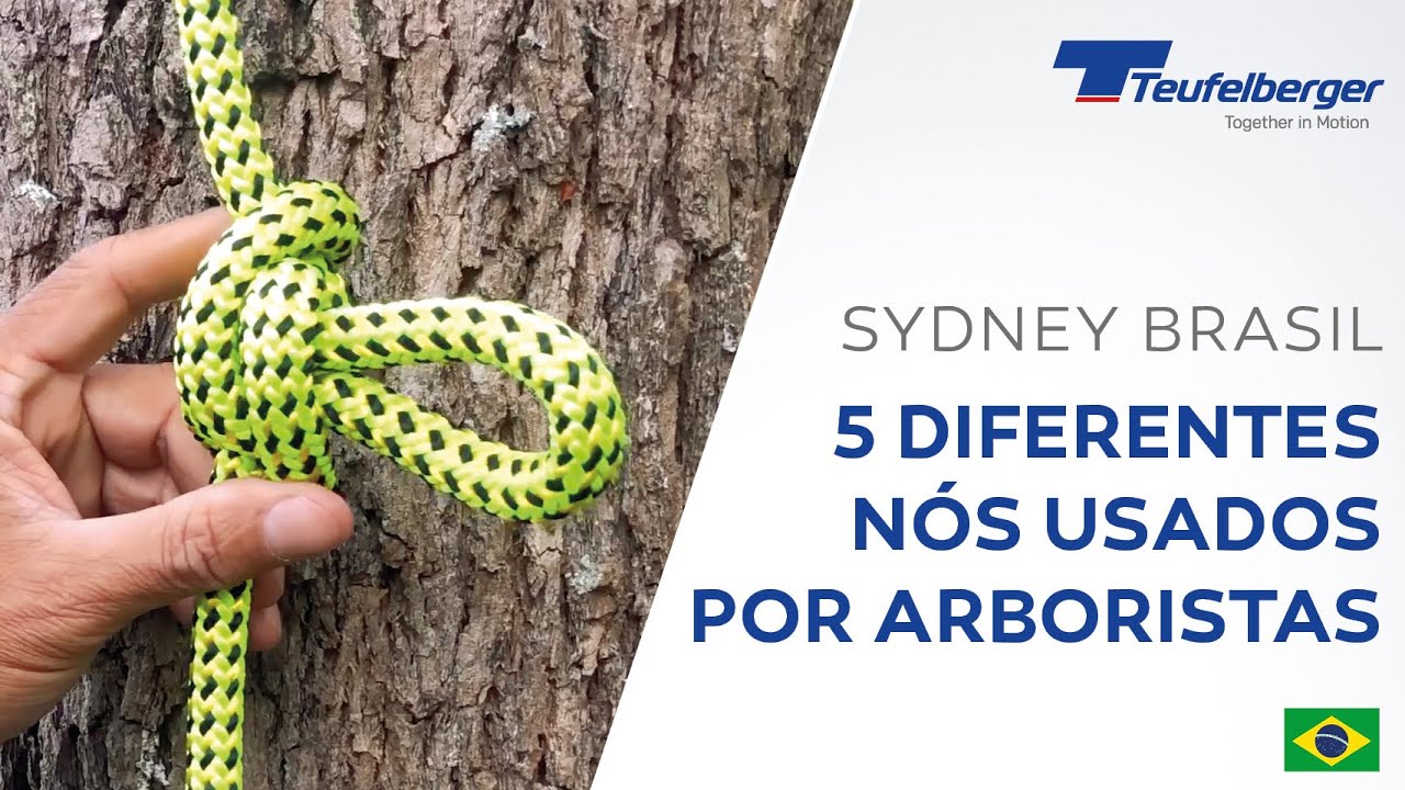 5 diferentes nós usados por arboristas - Sydney Brasil