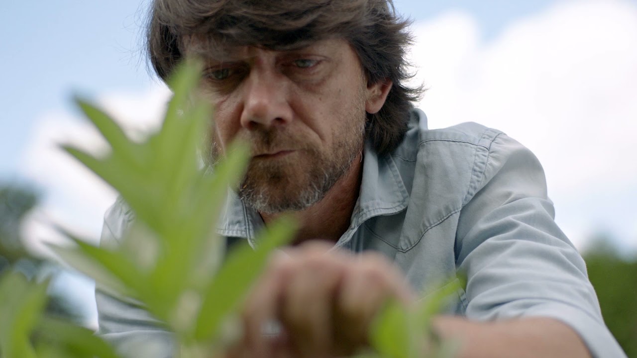 IMPERFECTXS PEPE SOLLA | Finca de los cuervos