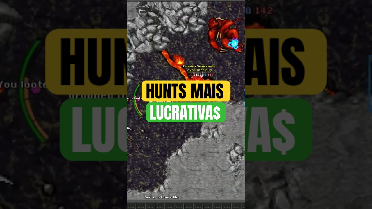 What are the most profitable hunts in Rubinot? #rubinot #tibia #fyyy