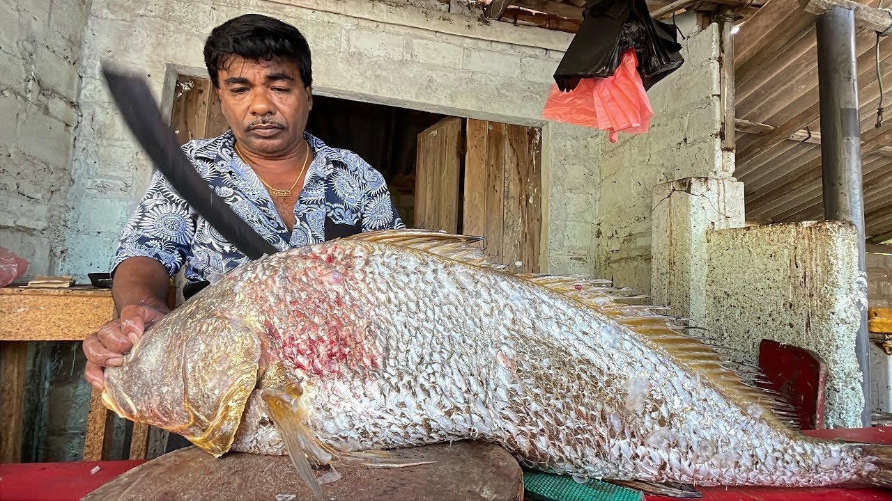 A special skill in cutting fish that you have never seen before in a village in Sri Lanka