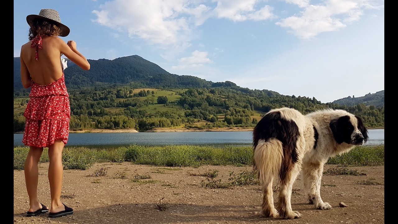 Albania 2022.                      Rumuński przyjaciel Brutus.