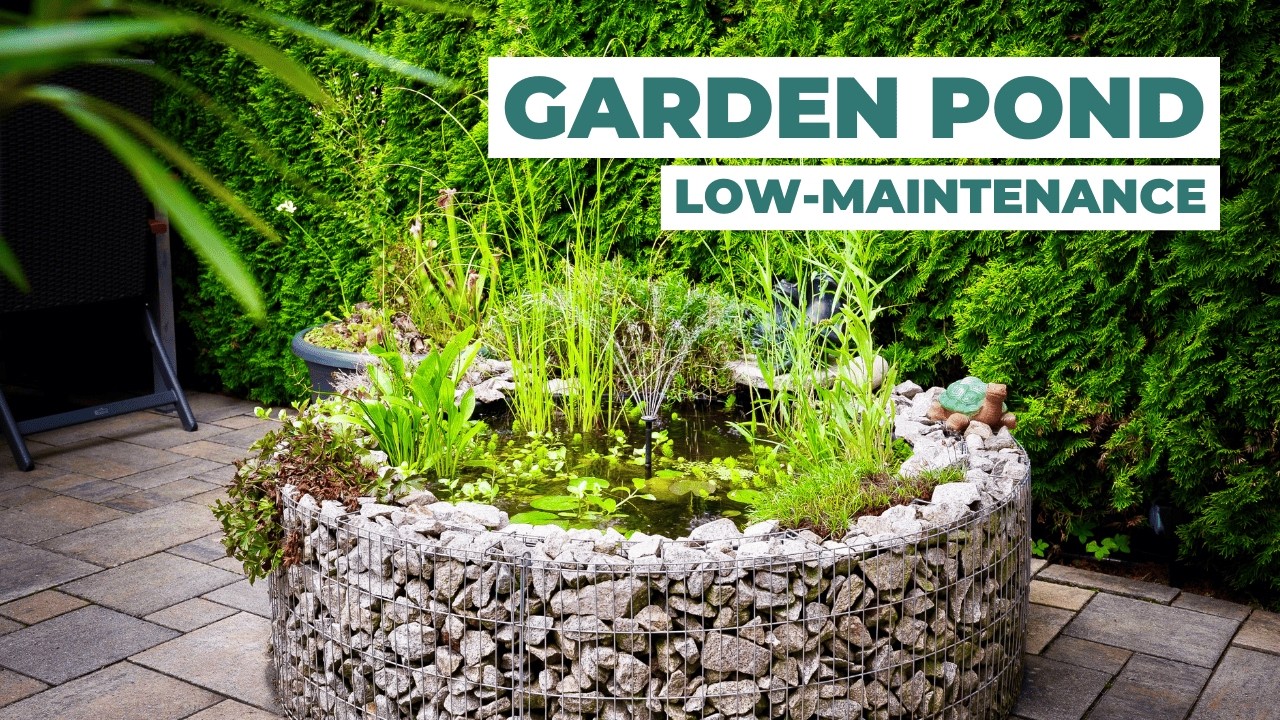Build a Terrace Pond with Solar Filter | Low-Maintenance & Cheap