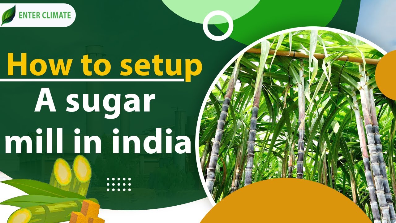 How to Setup a Sugar Mill in India? | Start a Sugarcane Processing Plant | Enterclimate