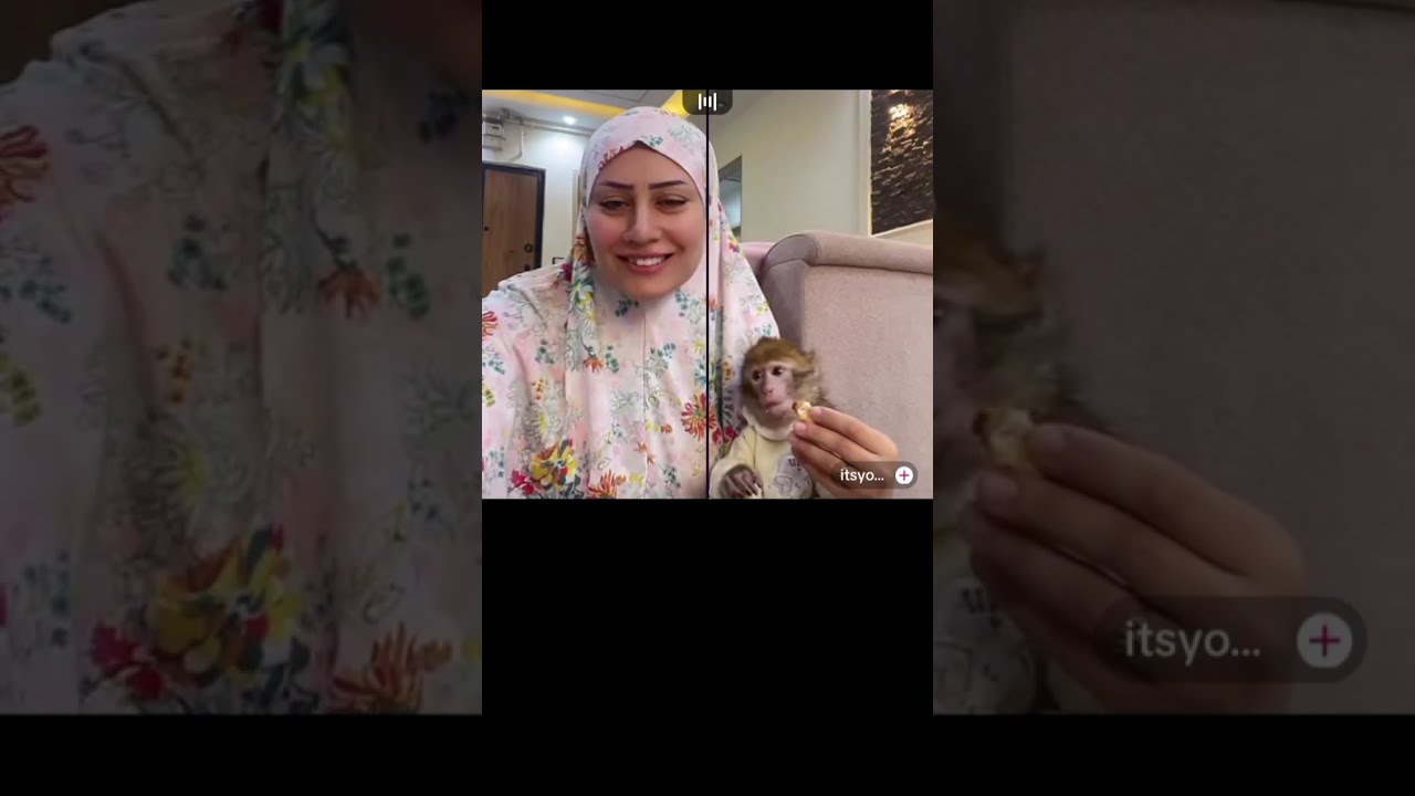 ام دونا الاكل ملوش حل