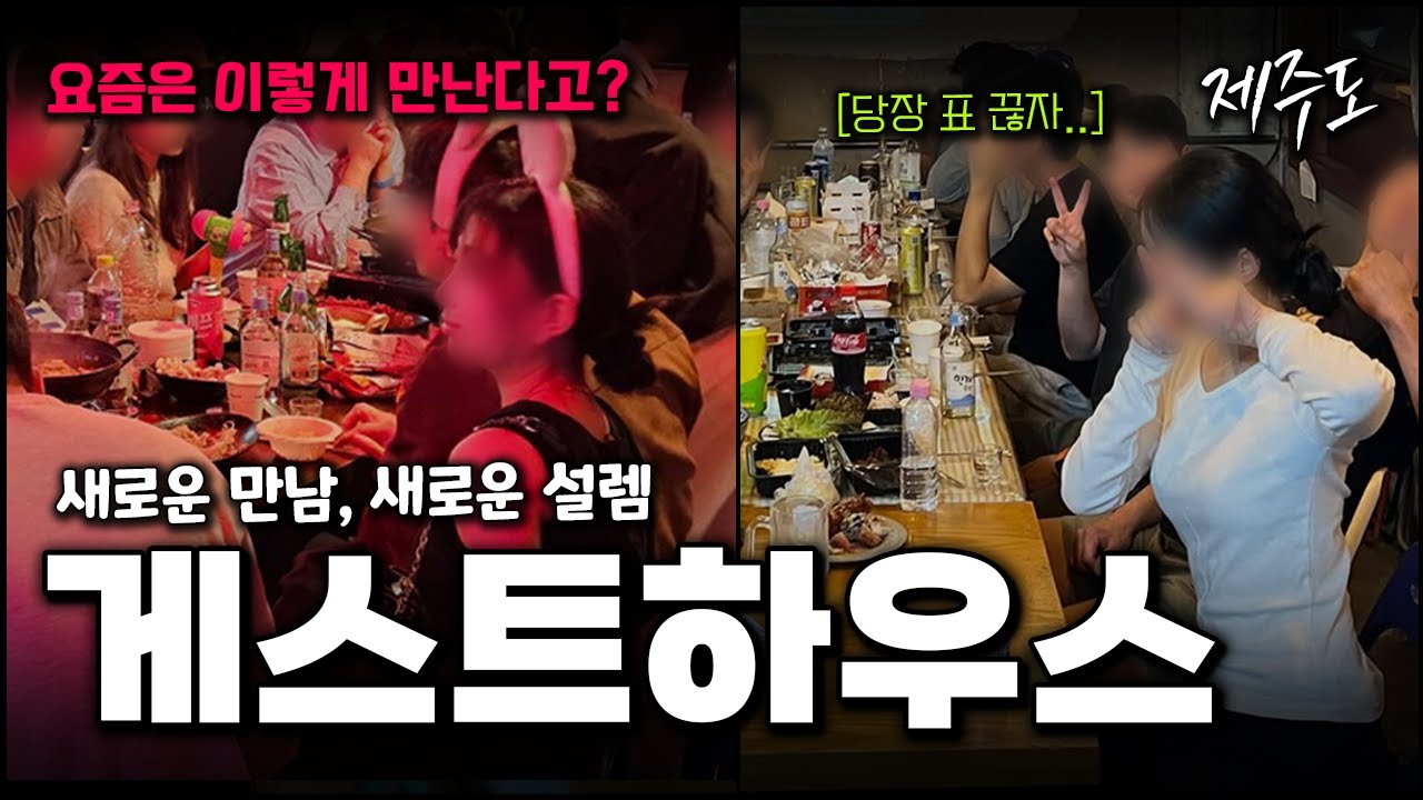 새로운 사랑이 싹트는 곳ㅣ제주도 게스트하우스 완전 정복