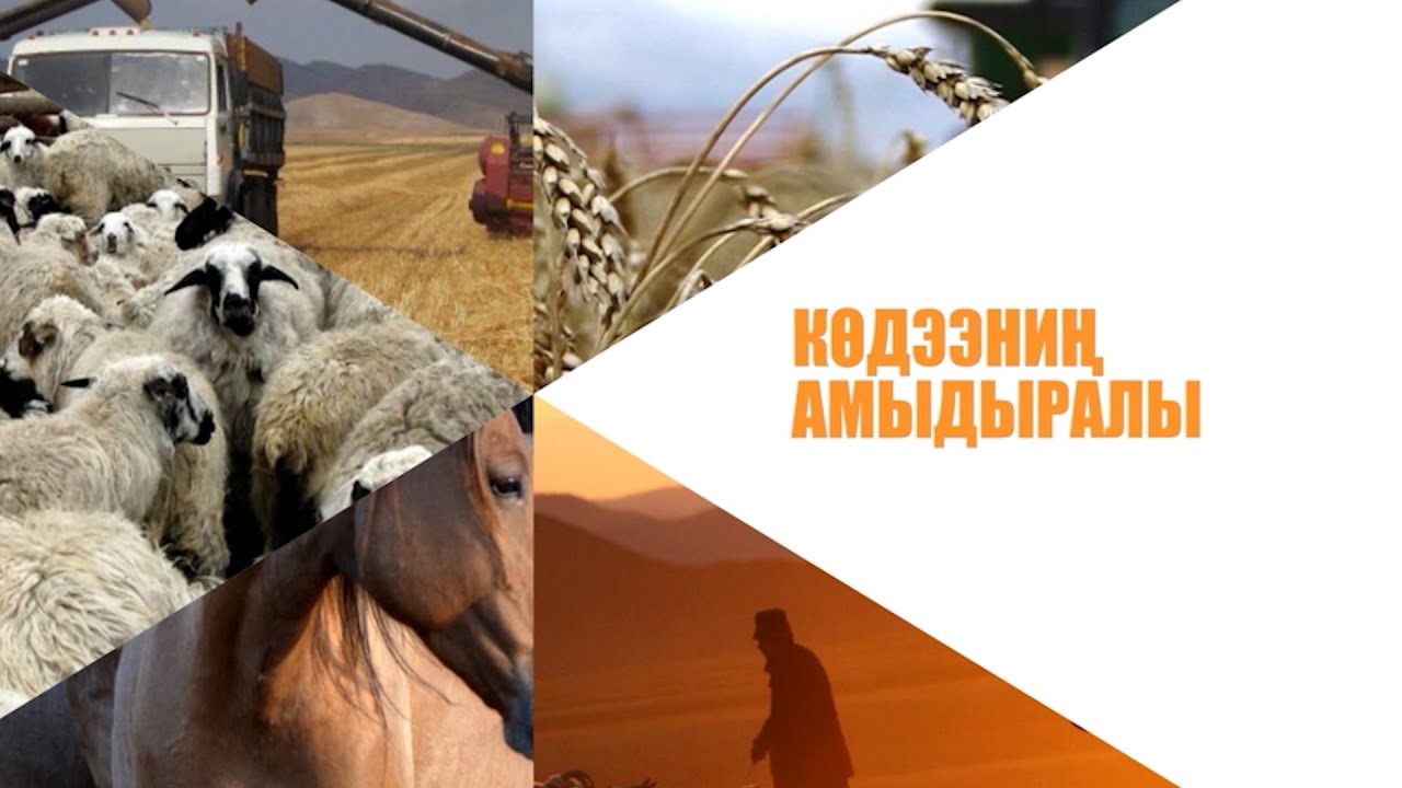 Эрес Захаров—«Тываның алдарлыг чылгычызы»