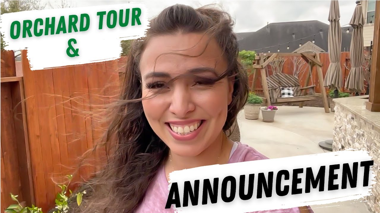 Backyard Orchard Tour & HUGE ANNOUNCEMENT!!!