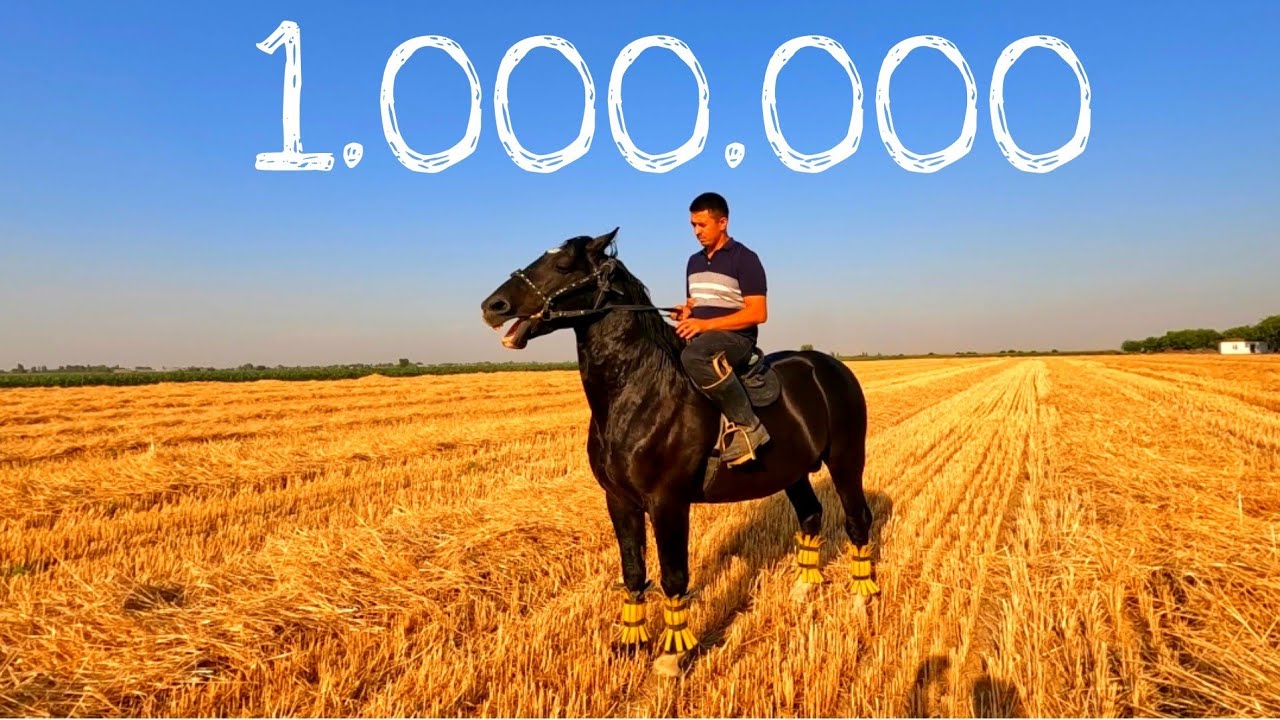 Улоқ купкари от сотилади! Миллион! Онлайн от бозор! Ot bozor