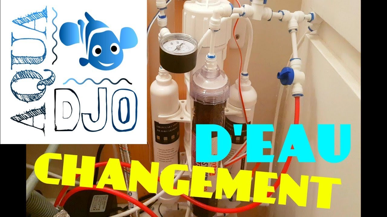 CHANGEMENT D'EAU DE MON RÉCIFAL - Osaka 260