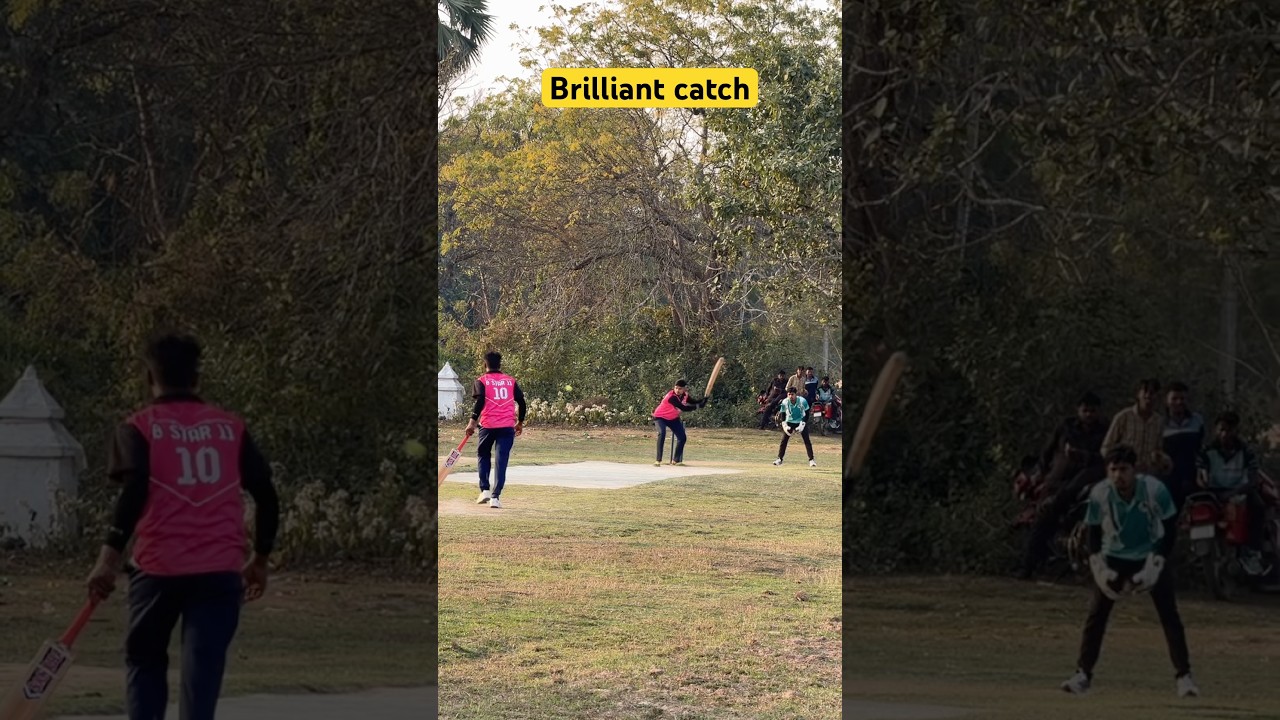 Brilliant catch#cricket #trending #youtubeshorts #cricketshorts