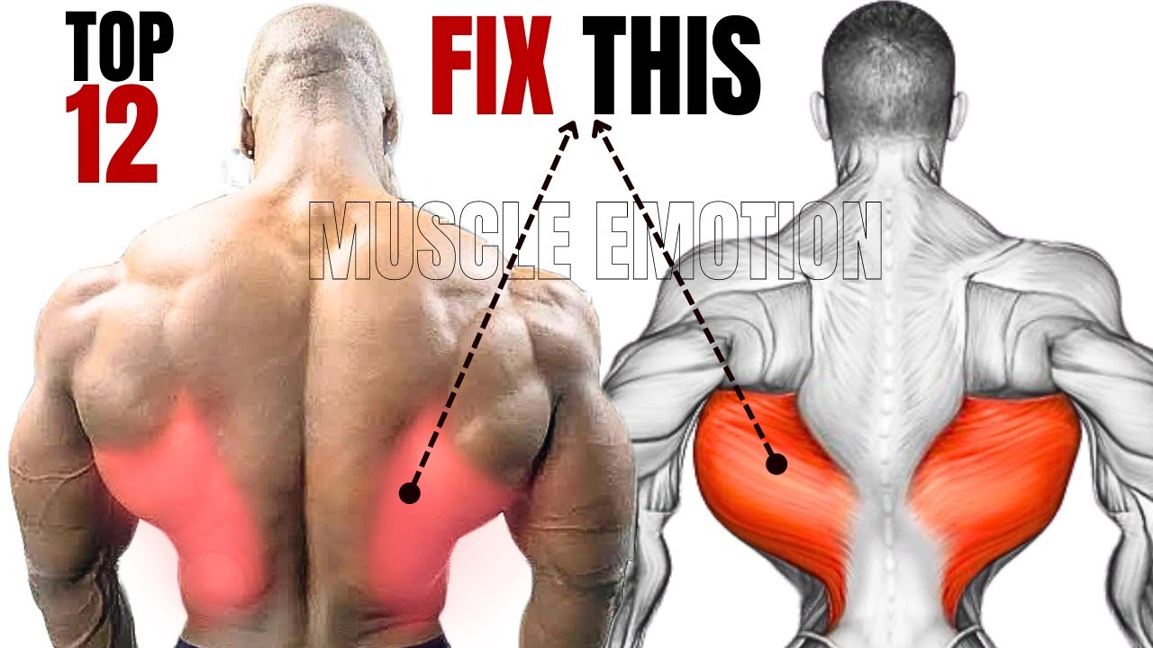 TOP 12  LAT  WORKOUT AT GYM / CLASSEMENT  DES MEILLEURS EXERCISES MUSCULATION DU GRAND DORSAL