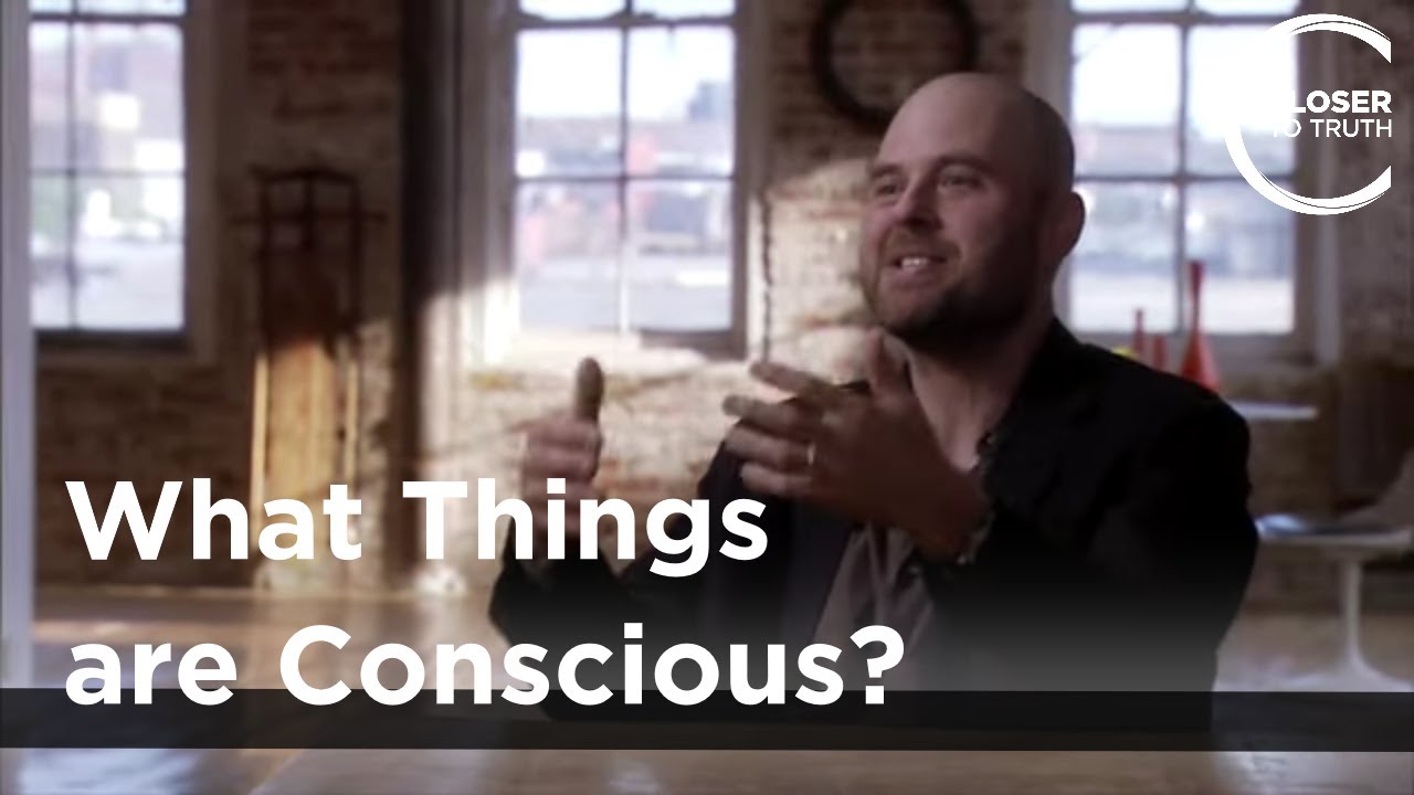 Alva Noe - What Things are Conscious?