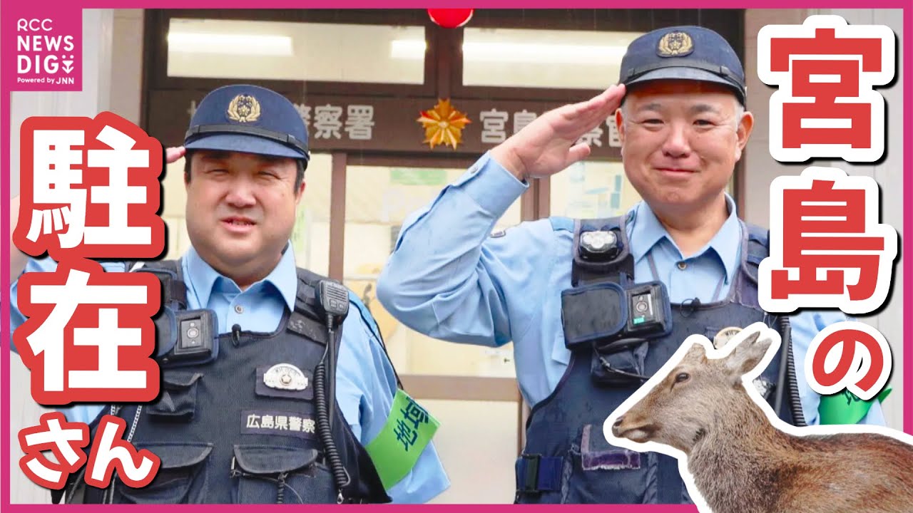 【密着】シカも慕う⁉島のヒーロー　世界遺産の島守る宮島の“駐在さん”　島の人や観光客に寄り添い　「良い思い出だけ作って」　広島