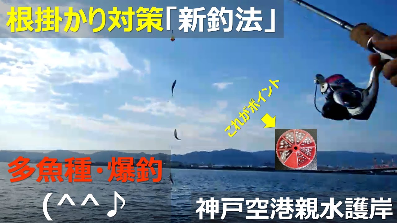 【神戸空港親水護岸ベランダ】サビキ釣り根掛かり攻略自作仕掛け：新釣法で多魚種（豆アジ・小サバ・サッパほか）爆釣という釣果。極小おもりと浮きでトリックサビキを投げる(*´ω｀*)