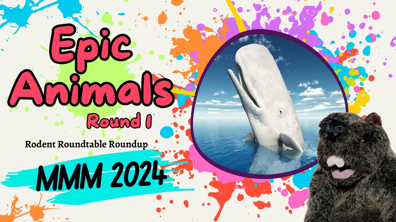 2024 MMM Rodent Recap - Epic Animals Battle, Round 1!