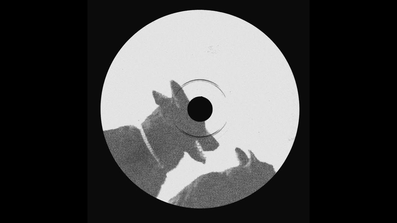 Z3ZU - LOST
