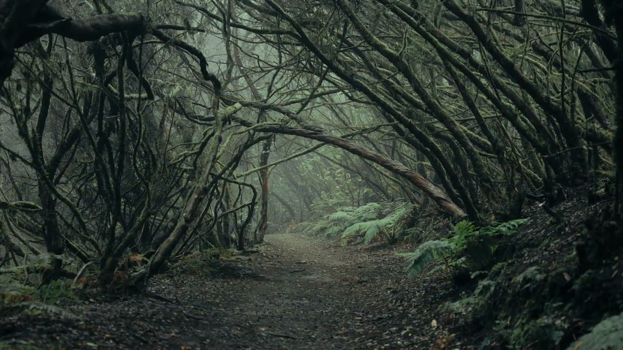 Fall and Winter Ambient Magic