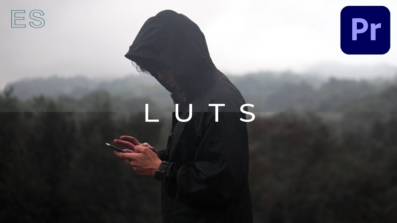 Cómo colorear con LUTs correctamente | Premiere Pro