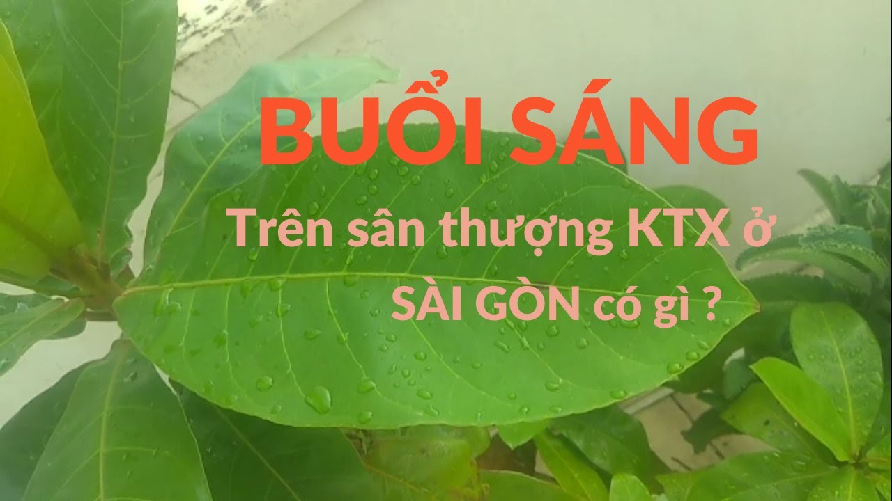 Buổi Sáng Trên Sân Thượng KTX Ở SÀI GÒN Có Gì ?