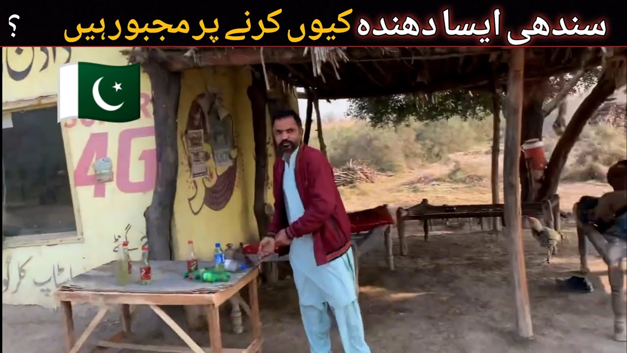 Why are Sindhis forced to do such a business?