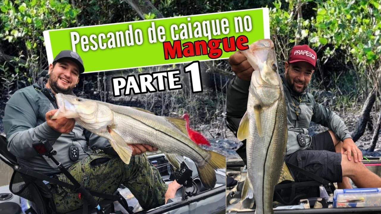 PESCA de CAIAQUE - É MUITO ROBALO - RIO PARANAGUAMIRIM  PARTE 1 #UNIVERSOFISHING
