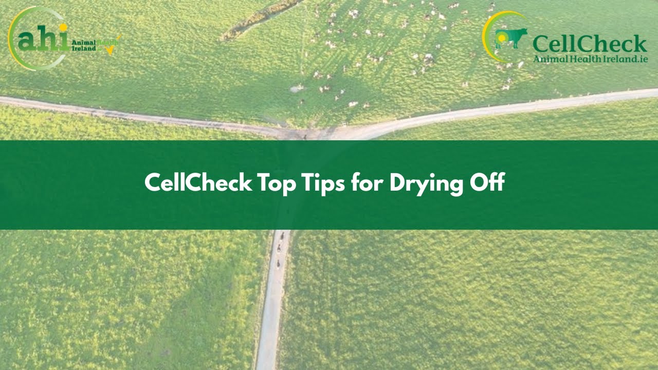 CellCheck Top 10 Tips for Drying Off Webinar