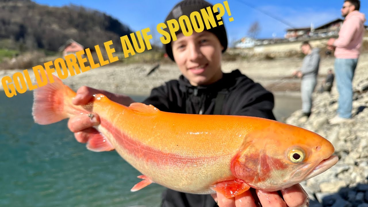 Goldforelle auf Spoon?! | LJ Fishing Adventures