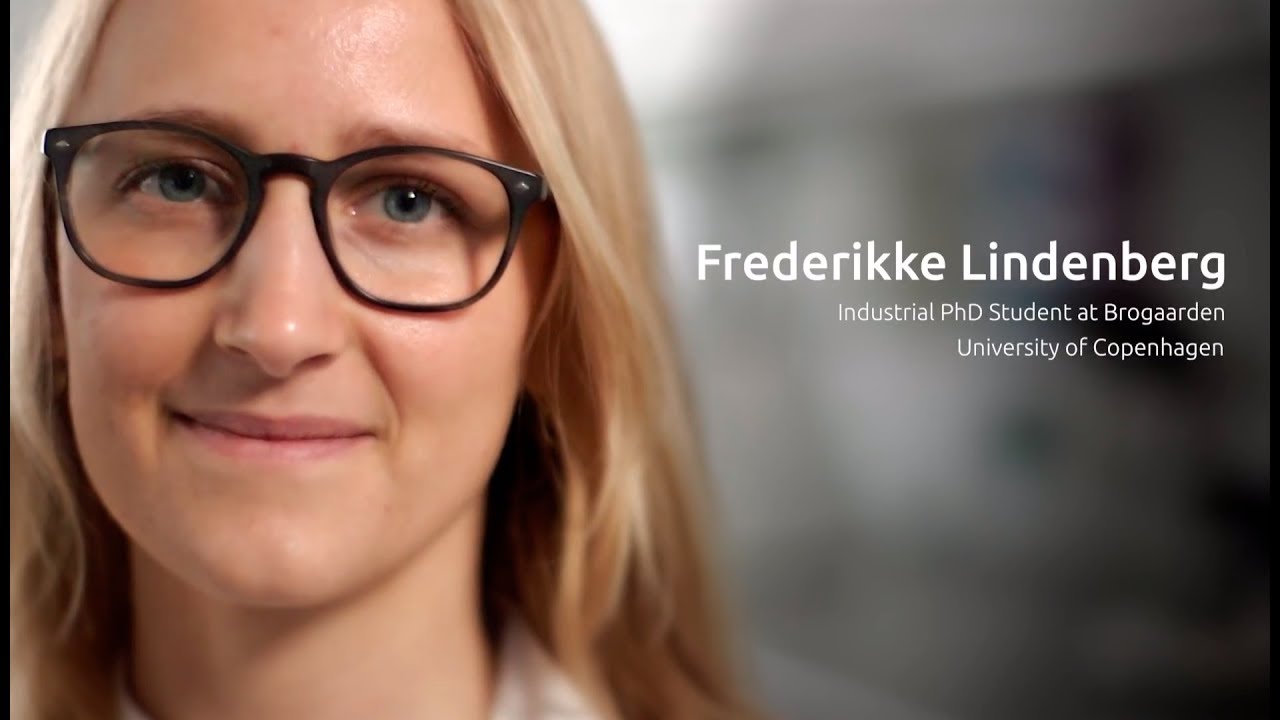 Industrial PhD advice video