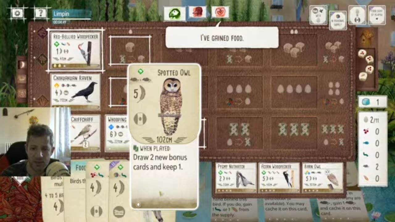 Wingspan Stream