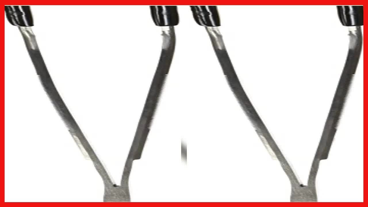 Zoo Med Labs Angled Stainless Steel Feeding Tongs, 10