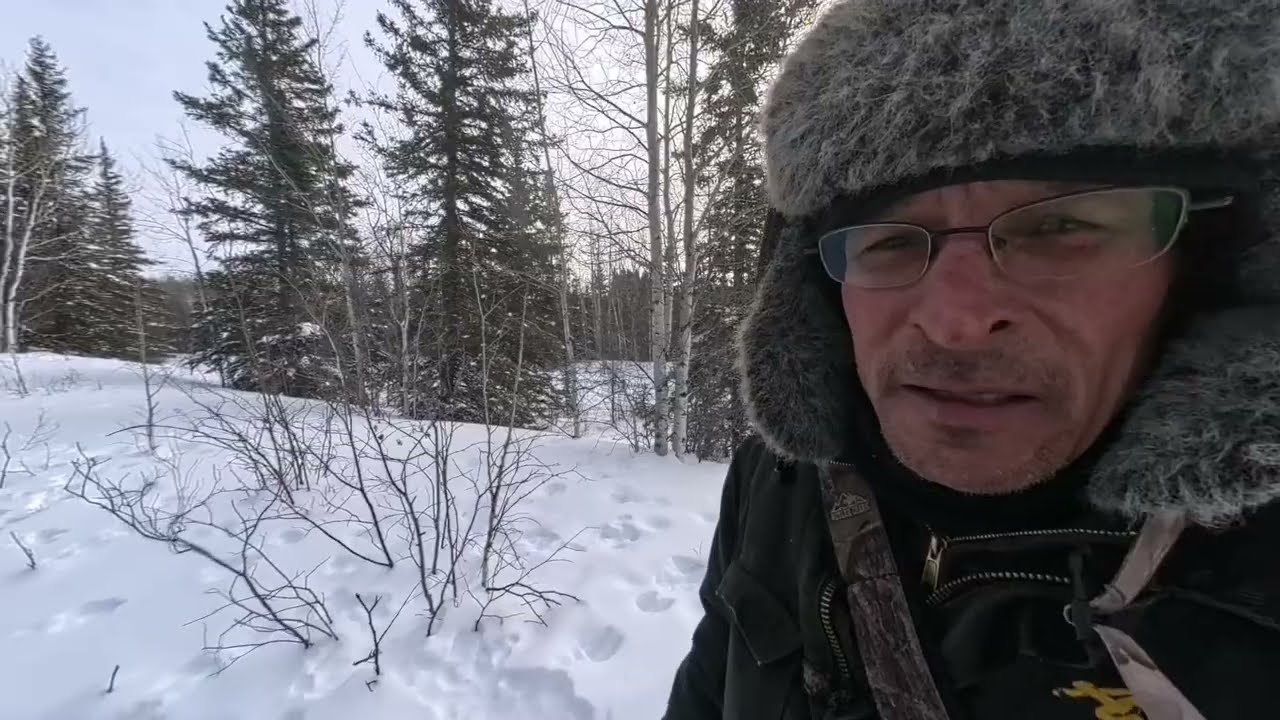 Жизнь в хижине вне цивилизации. День 7.