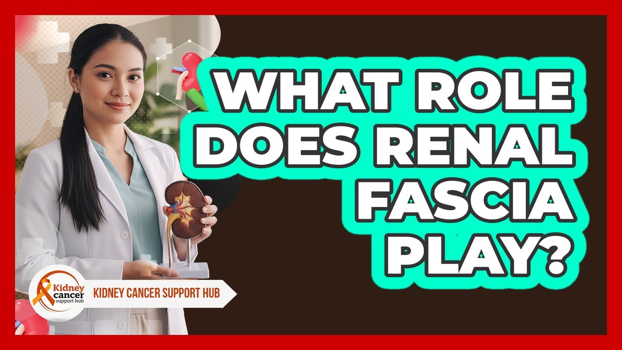 What Role Does Renal Fascia Play?