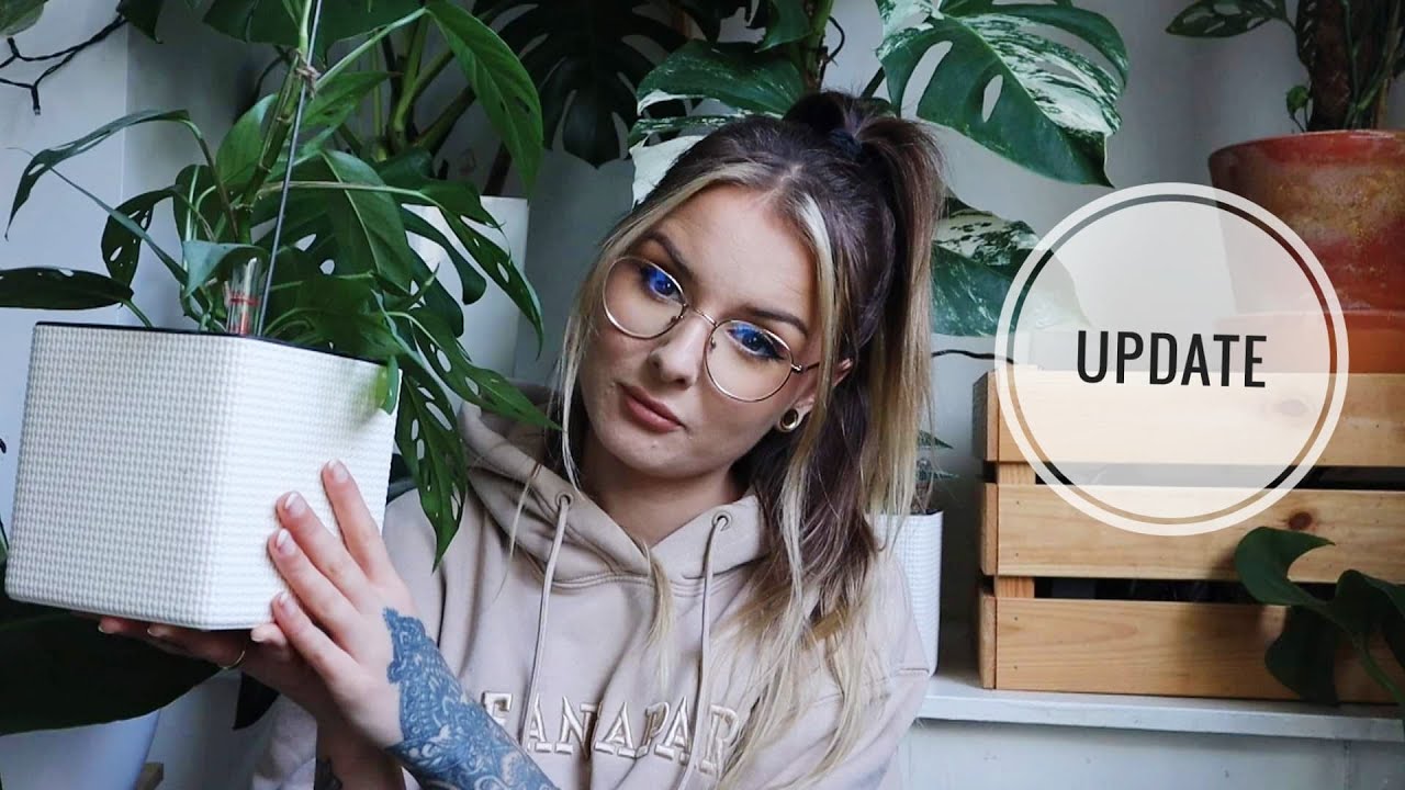 ...10 miesięcy później - LECHUZA Update