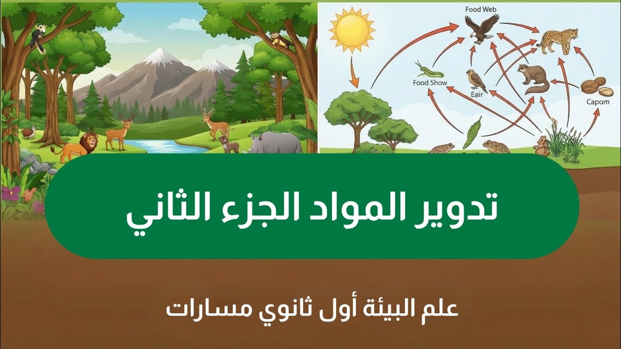 تدوير المواد الجزء الثاني | علم البيئة أول ثانوي مسارات