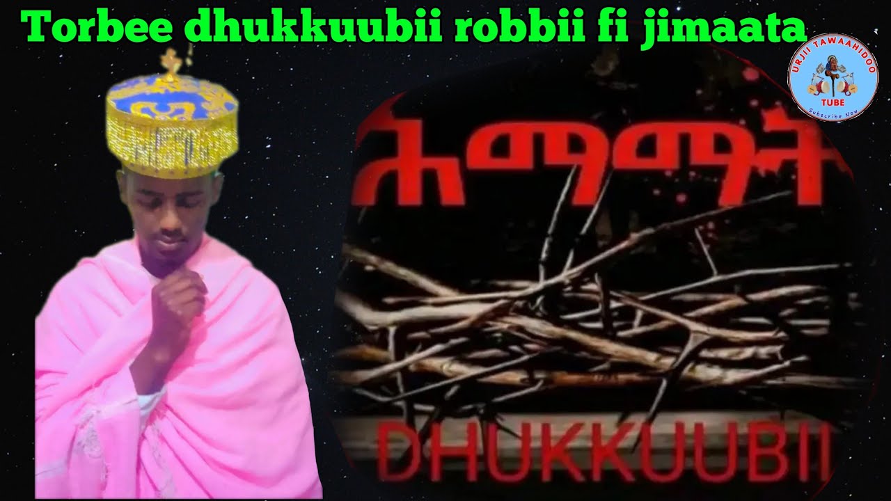 Barumsaa Torbee dhukkubii guyyaa 