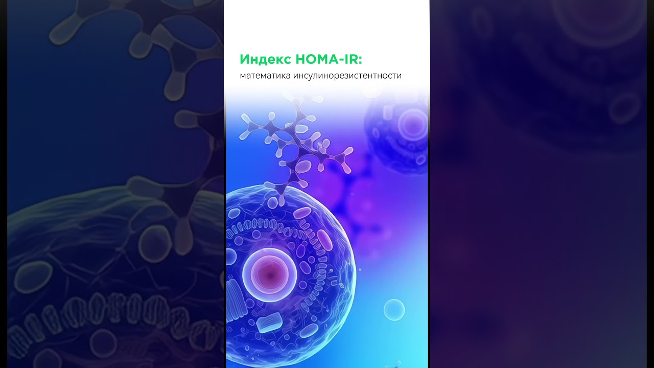❔Что такое индекс HOMA-IR и зачем он нужен