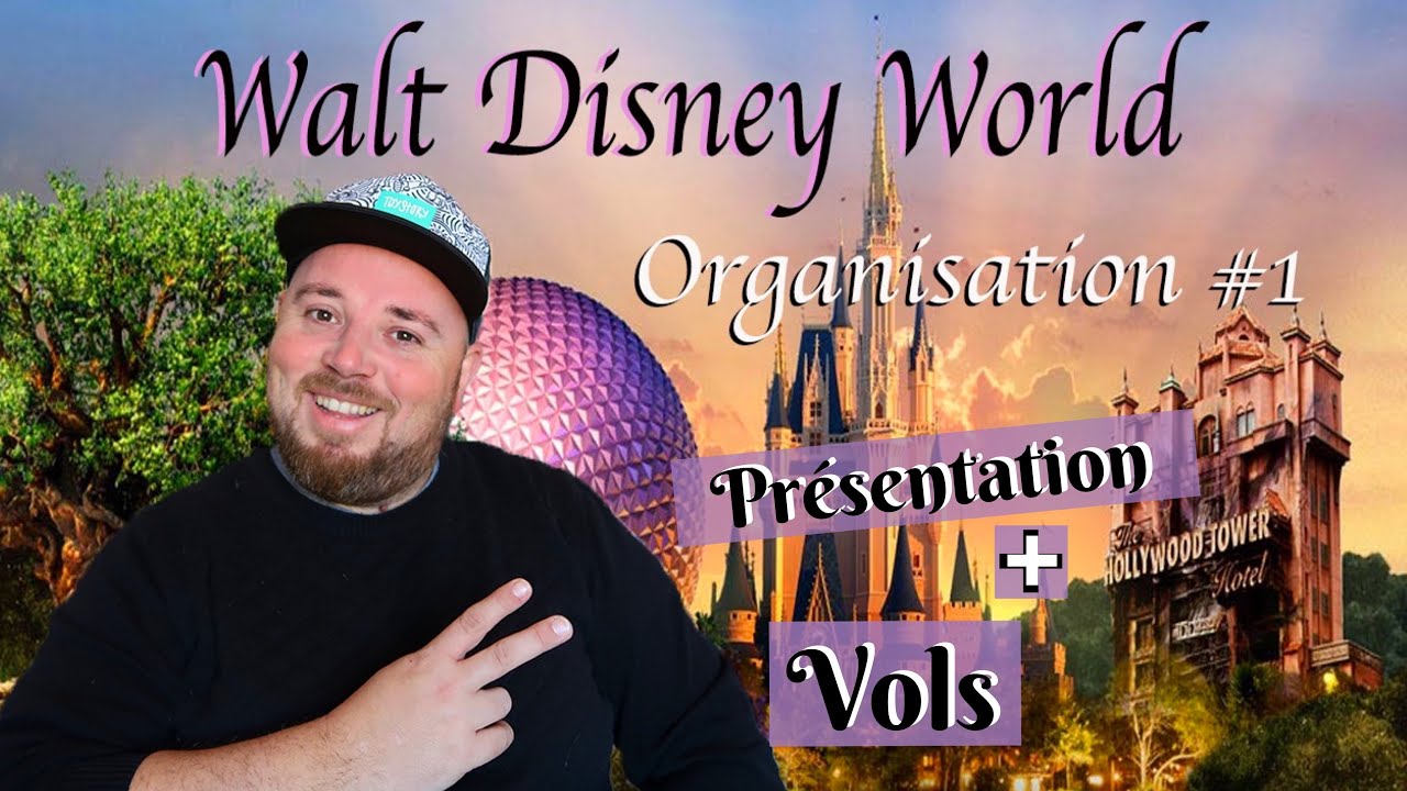 Organisation Walt Disney World : Les Vols