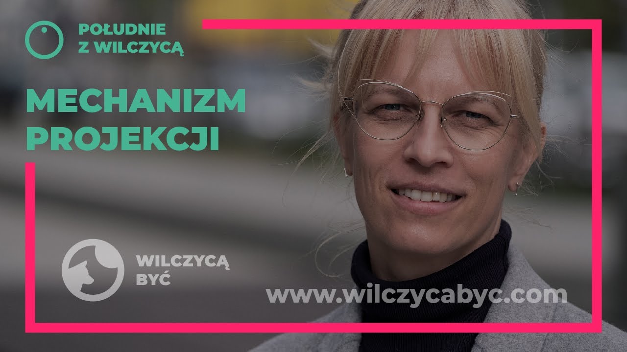 POŁUDNIE Z WILCZYCĄ | MECHANIZM PROJEKCJI
