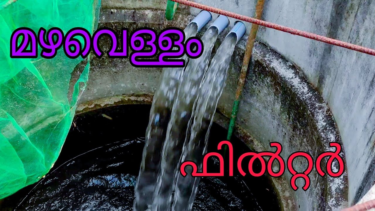 Rainwater filter # heavy rain water filter# മഴവെള്ള ഫിൽട്ടർ# dsnrstars 