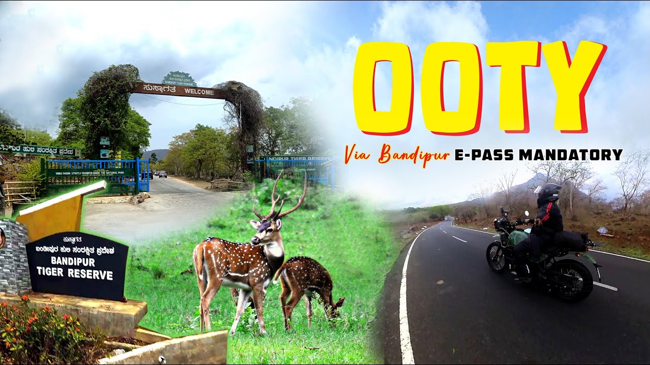 Ooty Bike Ride From Bangalore Via Bandipur | E-Pass Mandatory | Day 1 Vlog