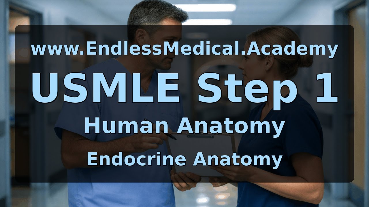 Endocrine Anatomy, Human Anatomy, USMLE Step 1 - Full Vignette with Extended Explanations
