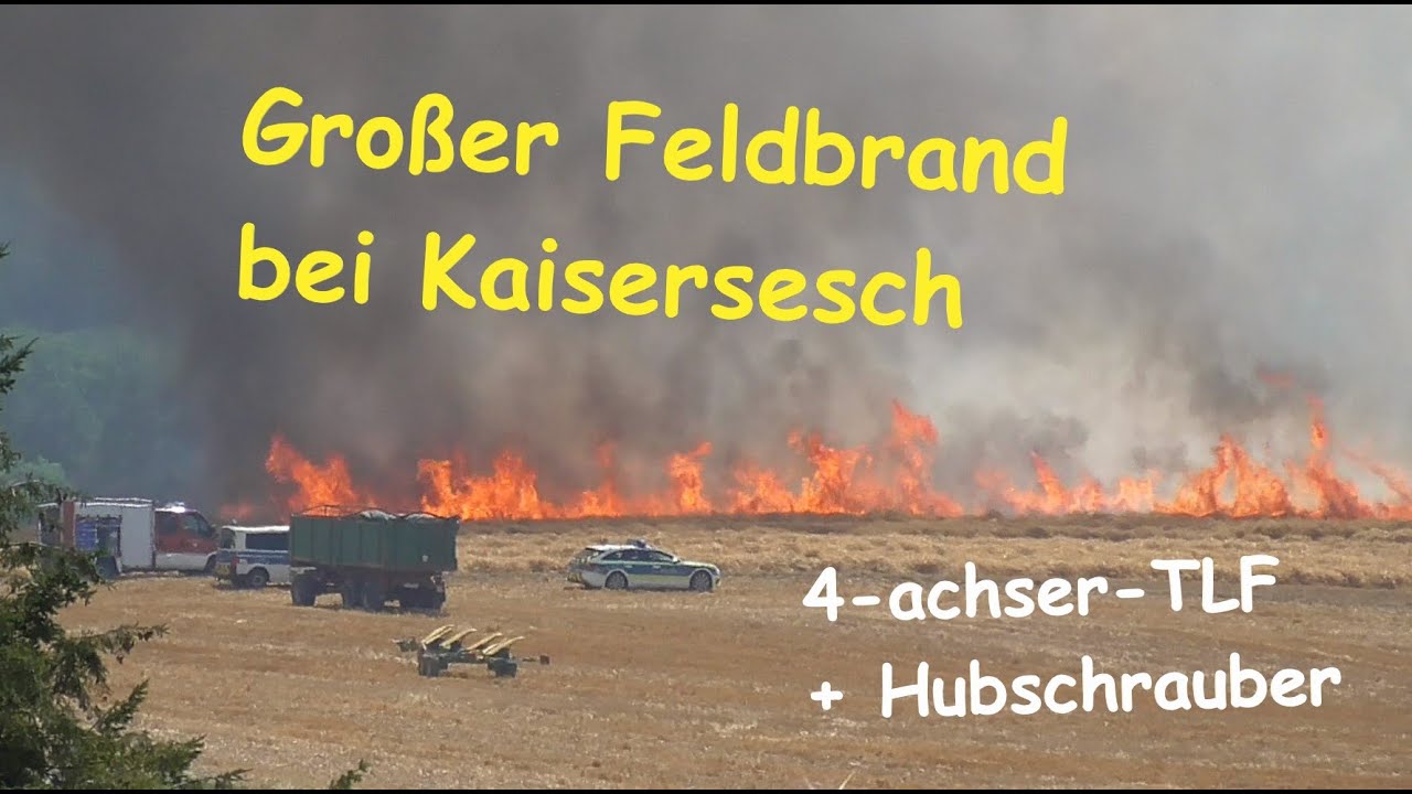 Kornfeld in Flammen Teil 1 - Feldbrand bedroht Reiterhof | Feuerwehr Kaisersesch Gross Brand Feuer