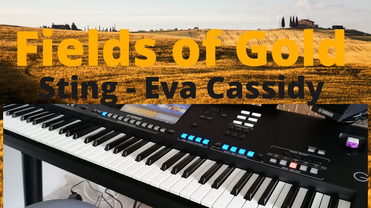 Fields Of Gold - (Sting / Eva Cassidy) - Cover by René Knops - Yamaha Genos